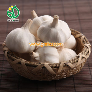 beneficios para la salud del ajo