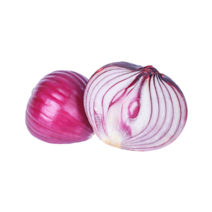 proveedor de cebollas