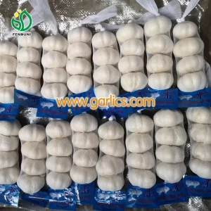 garlic_a_in_small_mesh_bag
