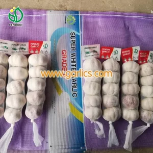 ail_fenduni_garlic_b