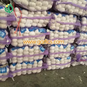 ajo_fabricante_de_china_c