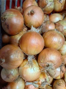 red onion benefits