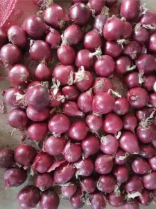 información_nutricional_cebolla_roja