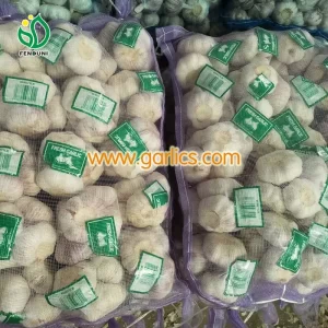 white garlic 